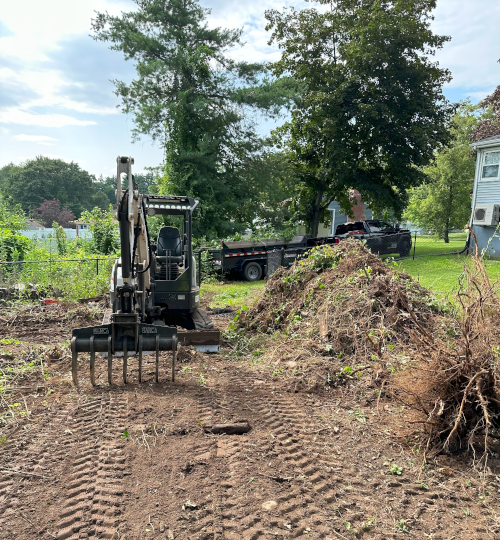 Terrafirma Excavation LLC Brush Clearing and Stump Removal