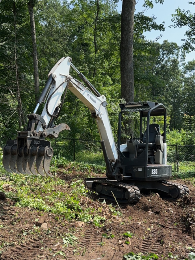 Brush Clearing