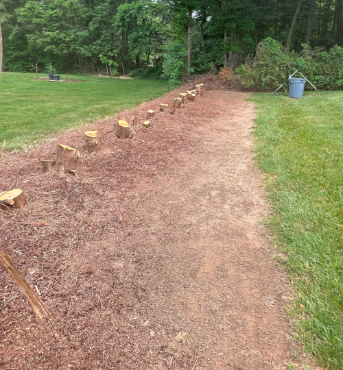 Terrafirma Excavation LLC Stump Removal Specialist