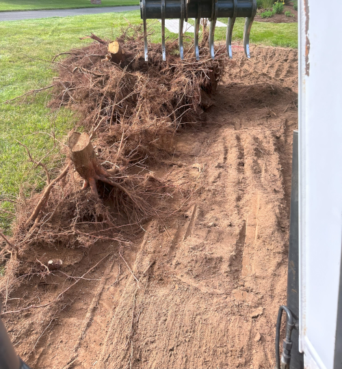 Terrafirma Excavation LLC Stump Removal Specialist